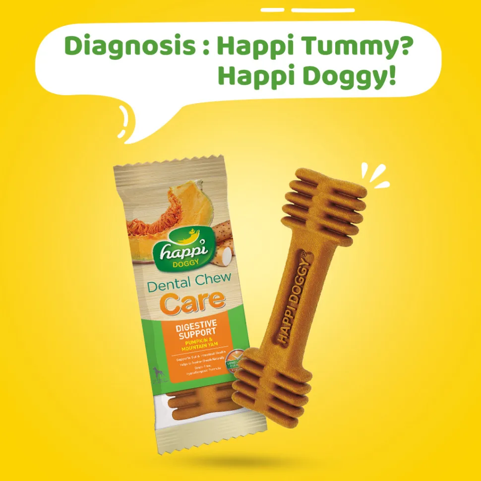 Happi Doggy Vegetarian Dental Chew (Digestive Support) - Pumpkin & Mountain Yam (Singles) - 25 g