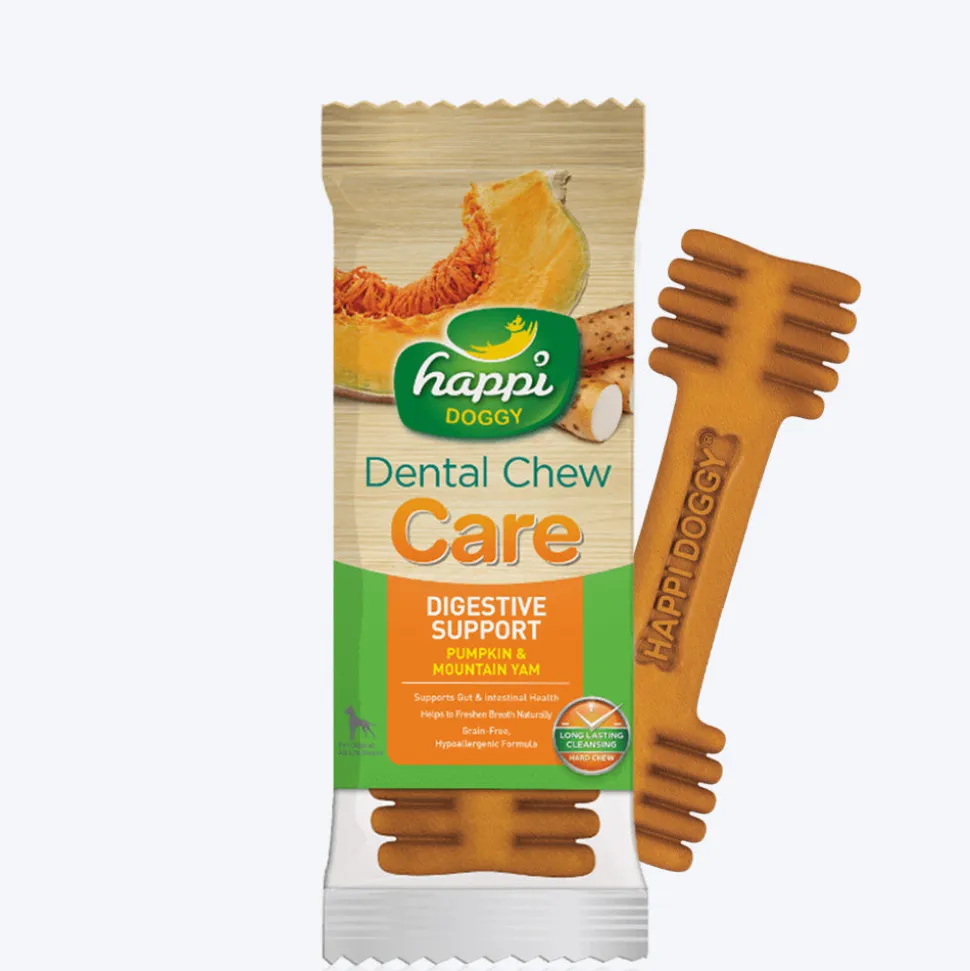 Happi Doggy Vegetarian Dental Chew (Digestive Support) - Pumpkin & Mountain Yam (Singles) - 25 g