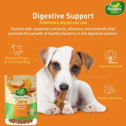 Happi Doggy Vegetarian Dental Chew (Digestive Support) - Pumpkin & Mountain Yam (Singles) - 25 g
