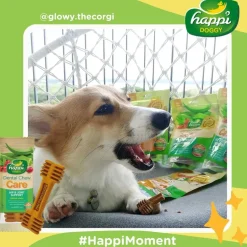 Happi Doggy Vegetarian Dental Chew - Care (Hip & Joint Support) Rosehip & Okra - Petite - 2.5 inch - 150 g - 18 Pieces