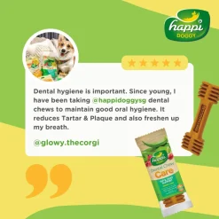 Happi Doggy Vegetarian Dental Chew - Care (Hip & Joint Support) Rosehip & Okra - Petite - 2.5 inch - 150 g - 18 Pieces