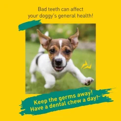 Happi Doggy Vegetarian Dental Chew - Care (Hip & Joint Support) Rosehip & Okra - Petite - 2.5 inch - 150 g - 18 Pieces