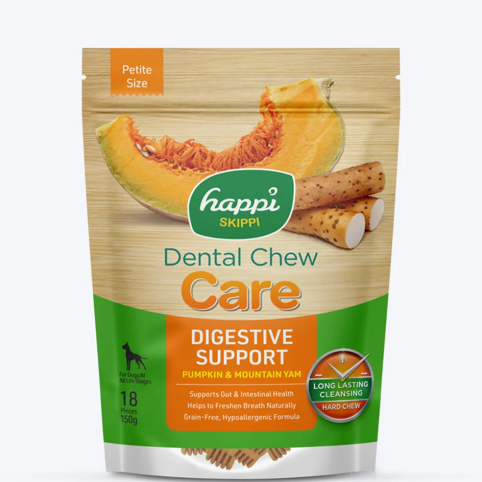 Happi Skippi Dental Chew Digestive Support Pumpkin & Mountain Yam Dog Treats - Petite 2.5 inch - 150 gm
