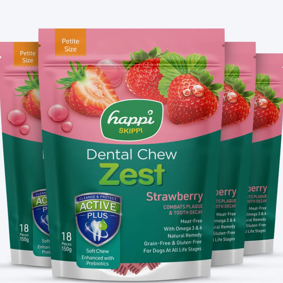 Happi Skippi Dental Chew Zest Strawberry Dog Treat - Petite 2.5 inch - 150 gm