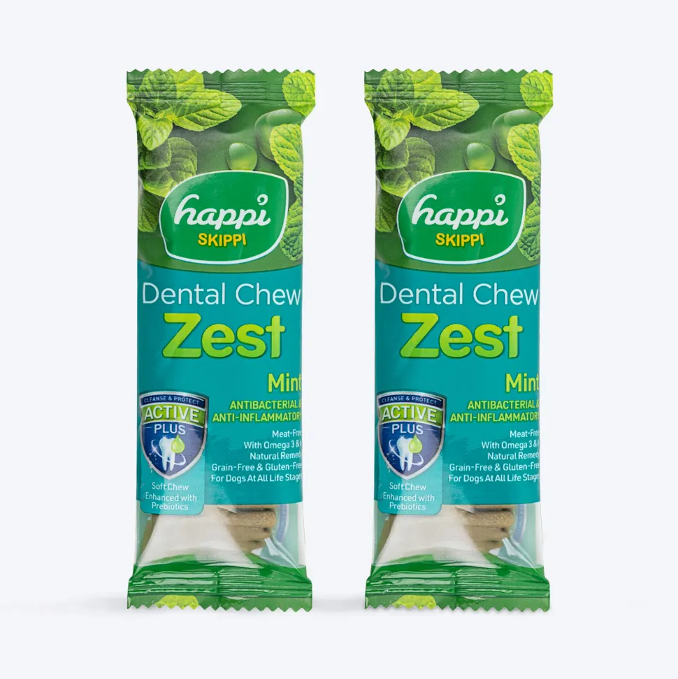 Happi Skippi Dental Chew Zest Mint Dog Treat - 4 inch - 25 gm