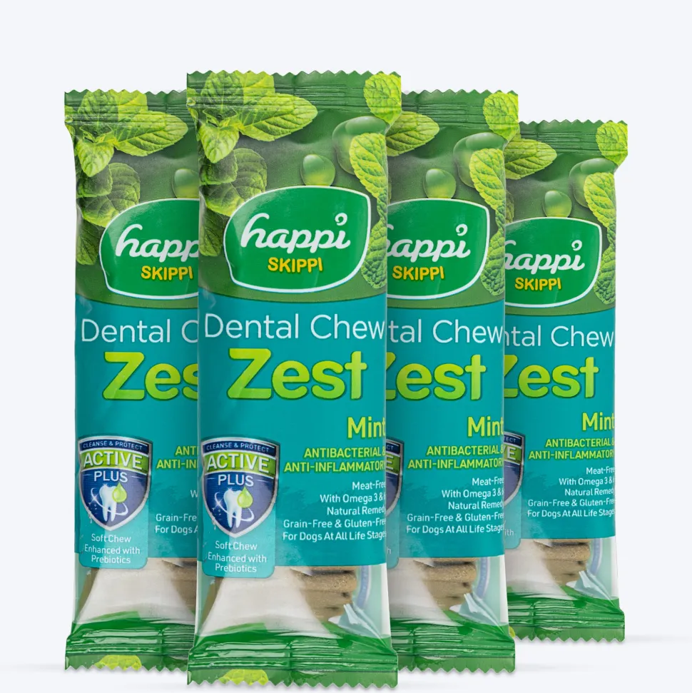 Happi Skippi Dental Chew Zest Mint Dog Treat - 4 inch - 25 gm