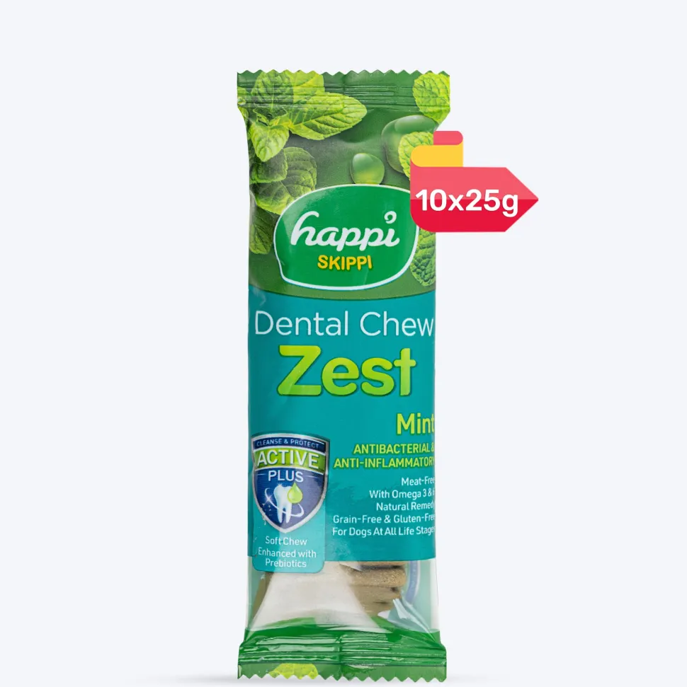 Happi Skippi Dental Chew Zest Mint Dog Treat - 4 inch - 25 gm