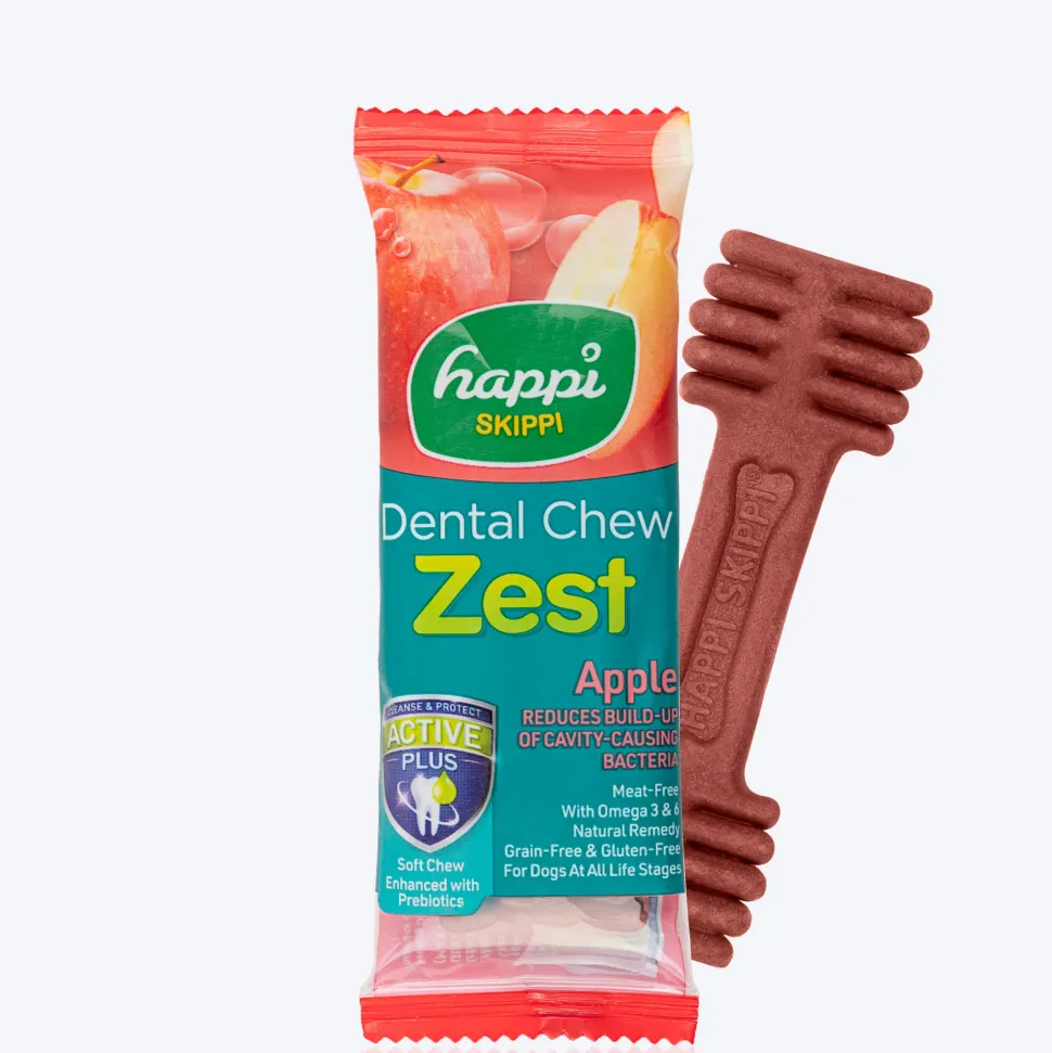 Happi Skippi Dental Chew Zest Apple Dog Treat - 4 inch - 25 gm