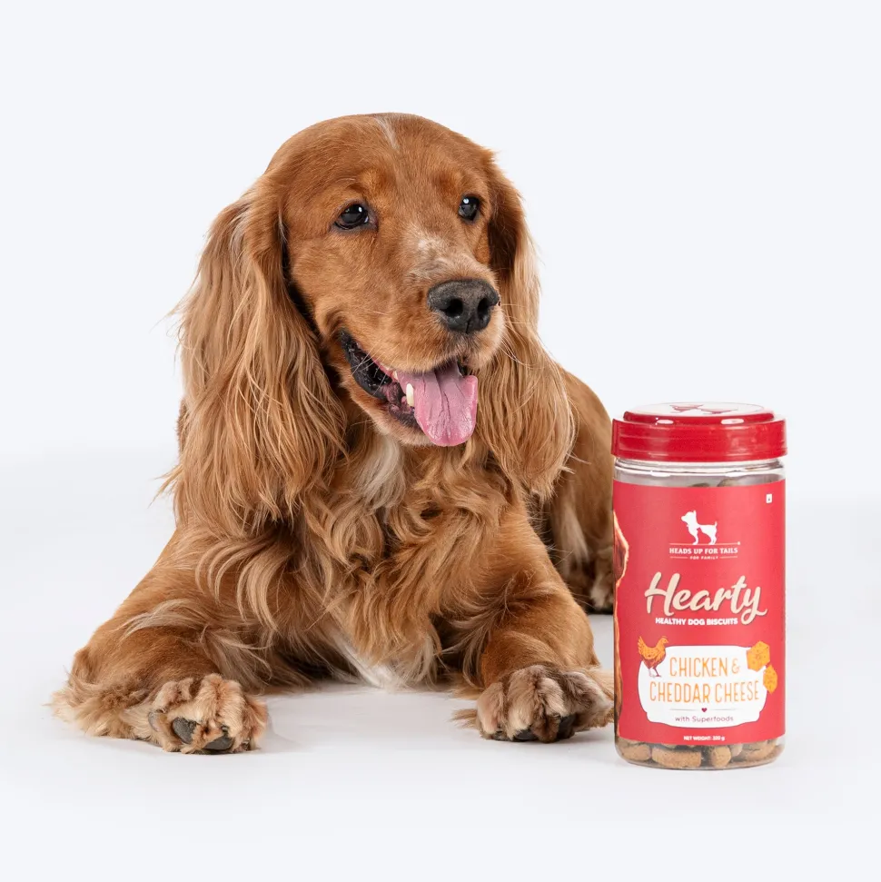 Hearty Chicken & Cheddar Cheese Dog Biscuits Gluten-Free 320g