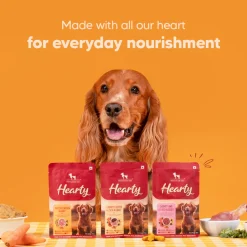 Hearty Chunky Chicken & Liver in Gravy Wet Dog Food - Pack of 15 (70 gm each)