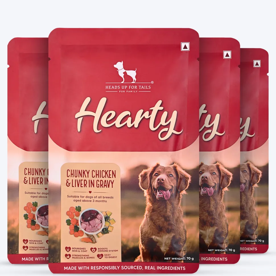 Hearty Chunky Chicken & Liver in Gravy Wet Dog Food 70g