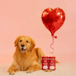 Hearty Dog Biscuits Chicken & Cranberries Grain-Free 320g