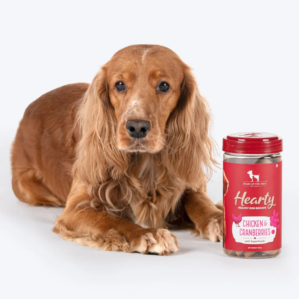 Hearty Dog Biscuits Chicken & Cranberries Grain-Free 320g