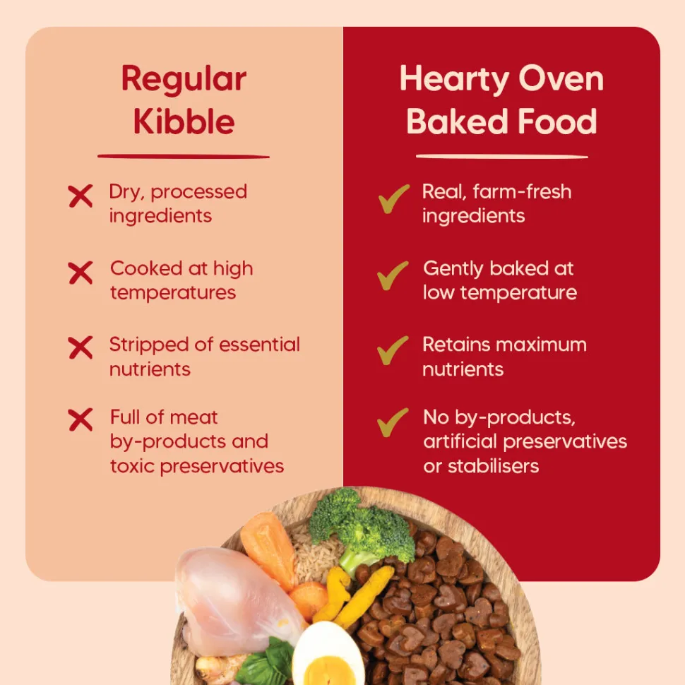 Hearty Oven-Baked Adult Dog Food Chicken, Duck & Pumpkin