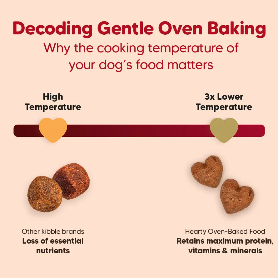 Hearty Oven-Baked Adult Dog Food Chicken, Duck & Pumpkin