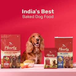 Hearty Oven-Baked Adult Dog Food Chicken, Duck & Pumpkin