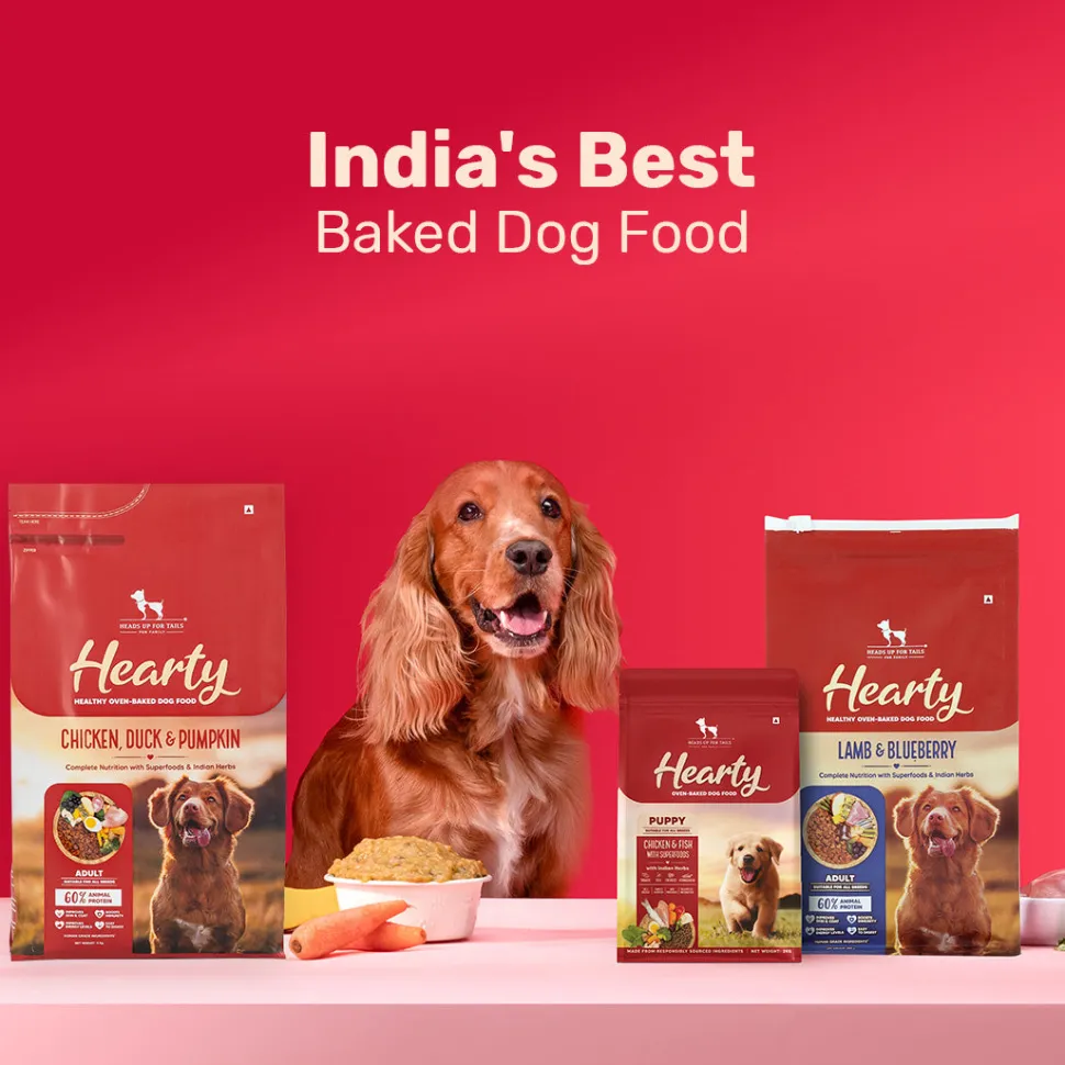 Hearty Oven-Baked Adult Dog Food Chicken, Duck & Pumpkin