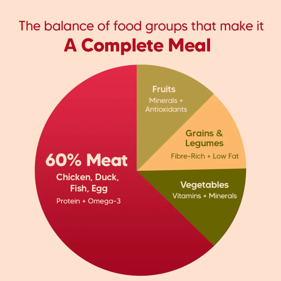 Hearty Oven-Baked Adult Dog Food Chicken, Duck & Pumpkin