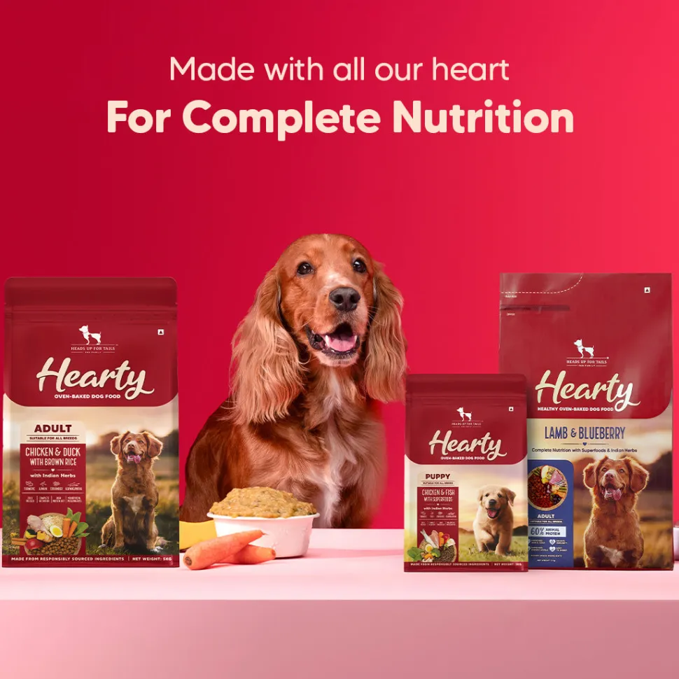 Hearty Oven-Baked Lamb & Blueberry Adult Dog Food All Breeds