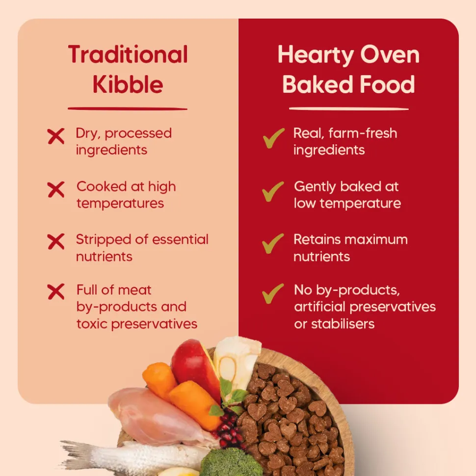 Hearty Oven-Baked Lamb & Blueberry Adult Dog Food All Breeds