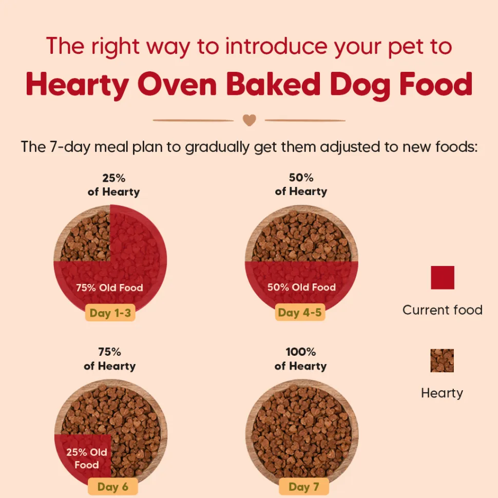 Hearty Oven-Baked Puppy Food Chicken & Fish with Superfoods - 250 gm (Best Before August'26)
