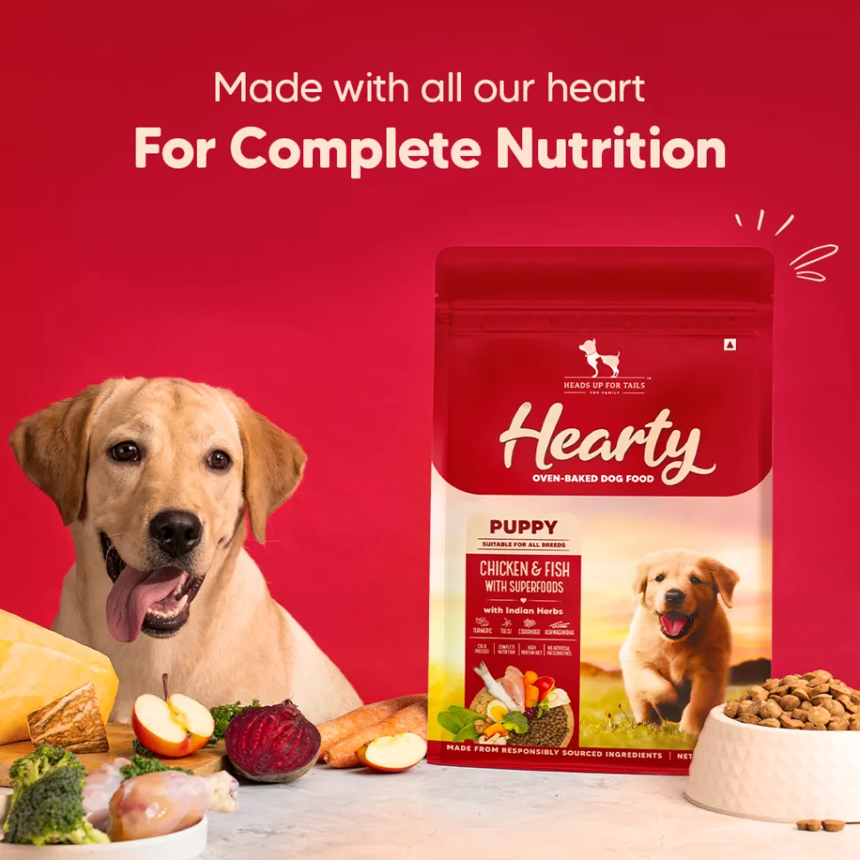 Hearty Oven-Baked Puppy Food Chicken & Fish with Superfoods - 250 gm (Best Before August'26)