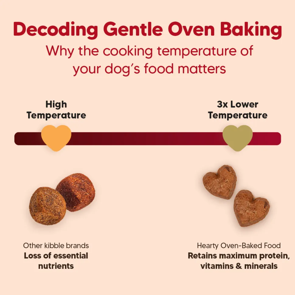 Hearty Oven-Baked Puppy Food Chicken & Fish with Superfoods - 250 gm (Best Before August'26)