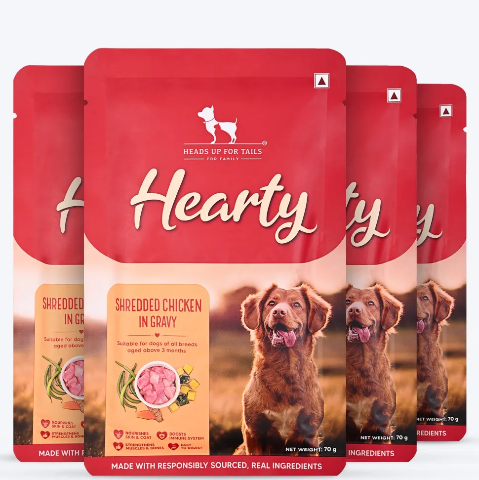 Hearty Shredded Chicken & Pumpkin in Gravy Wet Dog Food 70g