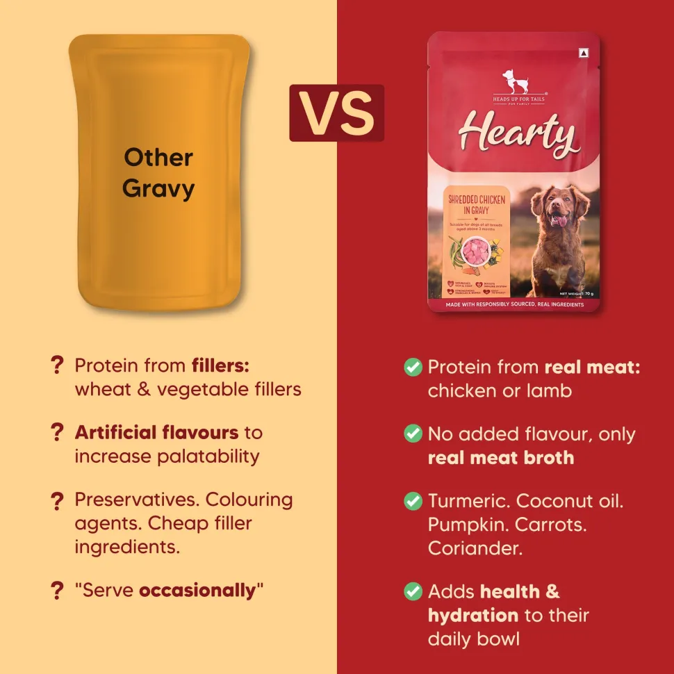 Hearty Shredded Chicken & Pumpkin in Gravy Wet Dog Food 70g