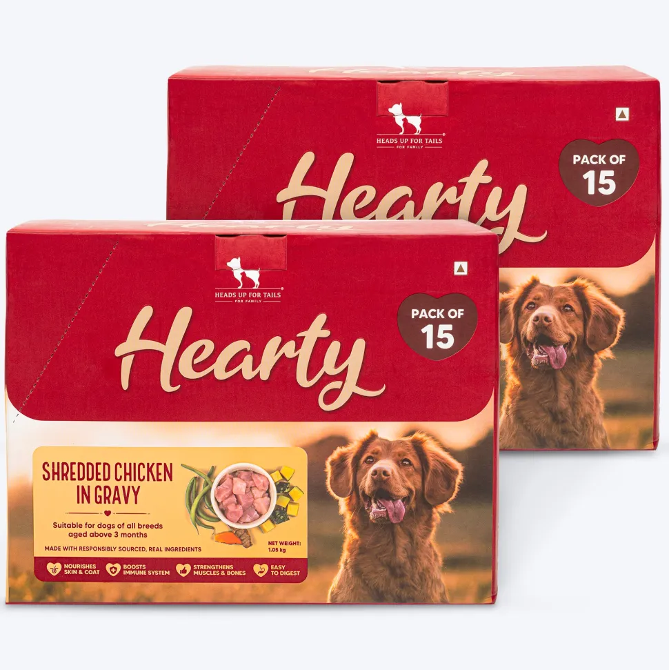 Hearty Shredded Chicken & Pumpkin in Gravy Wet Dog Food 70g