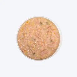 Hearty Shredded Chicken & Pumpkin in Gravy Wet Dog Food 70g