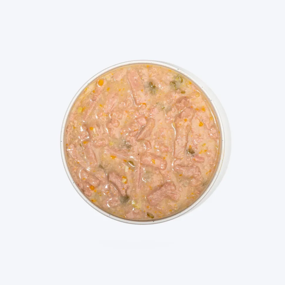 Hearty Shredded Chicken & Pumpkin in Gravy Wet Dog Food 70g