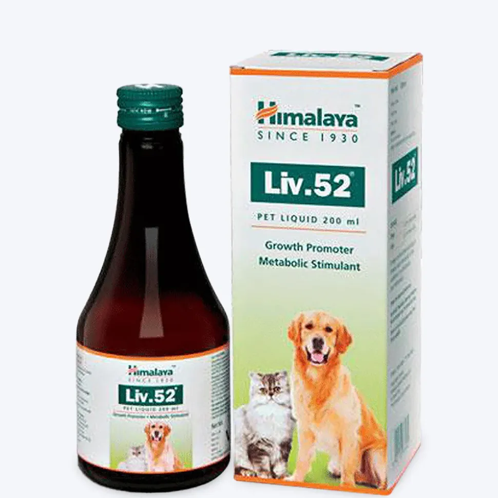 Himalaya Liv.52 Liver Support Supplement For Dogs & Cats - 200 ml