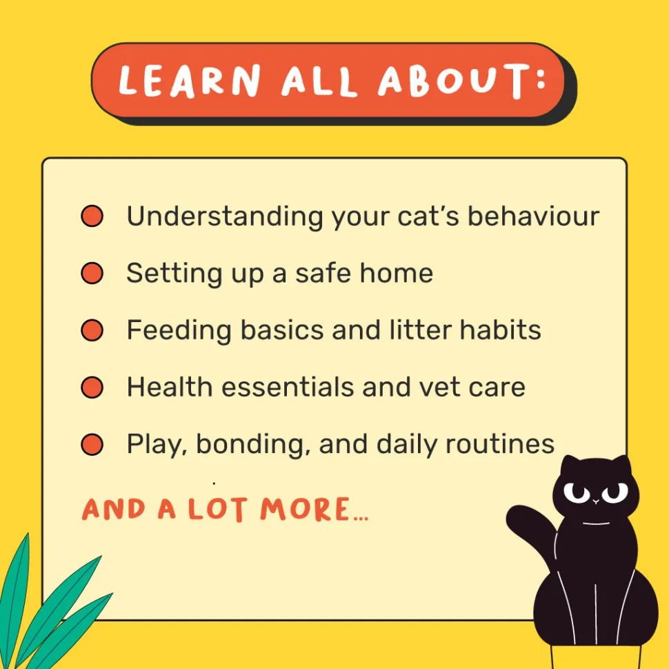 HUFT A Cat Parenting Handbook