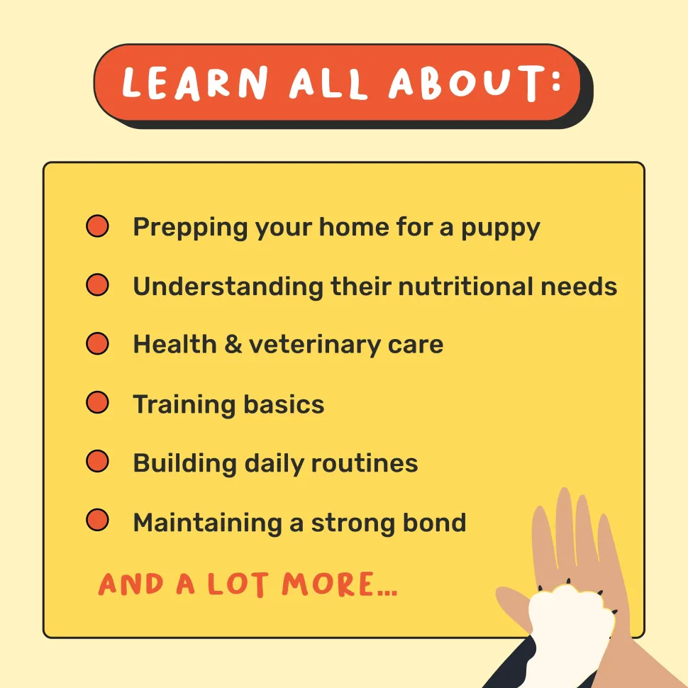 HUFT A Puppy Parenting Handbook
