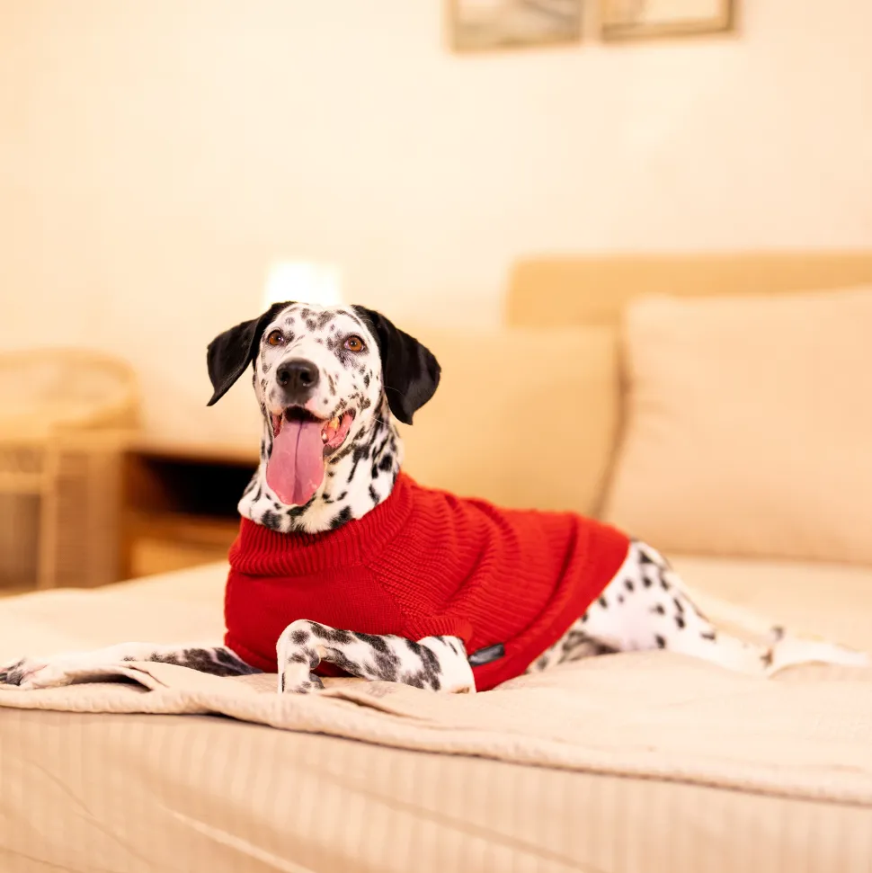 HUFT Berry Merry Sweater For Dog - Red