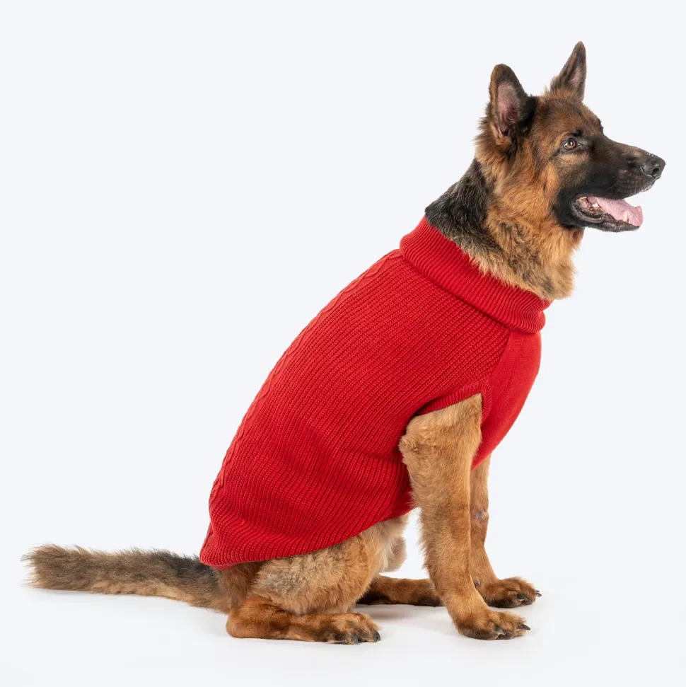 HUFT Berry Merry Sweater For Dog - Red
