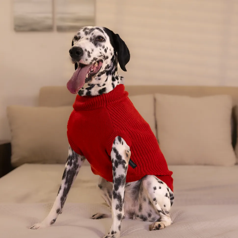 HUFT Berry Merry Sweater For Dog - Red