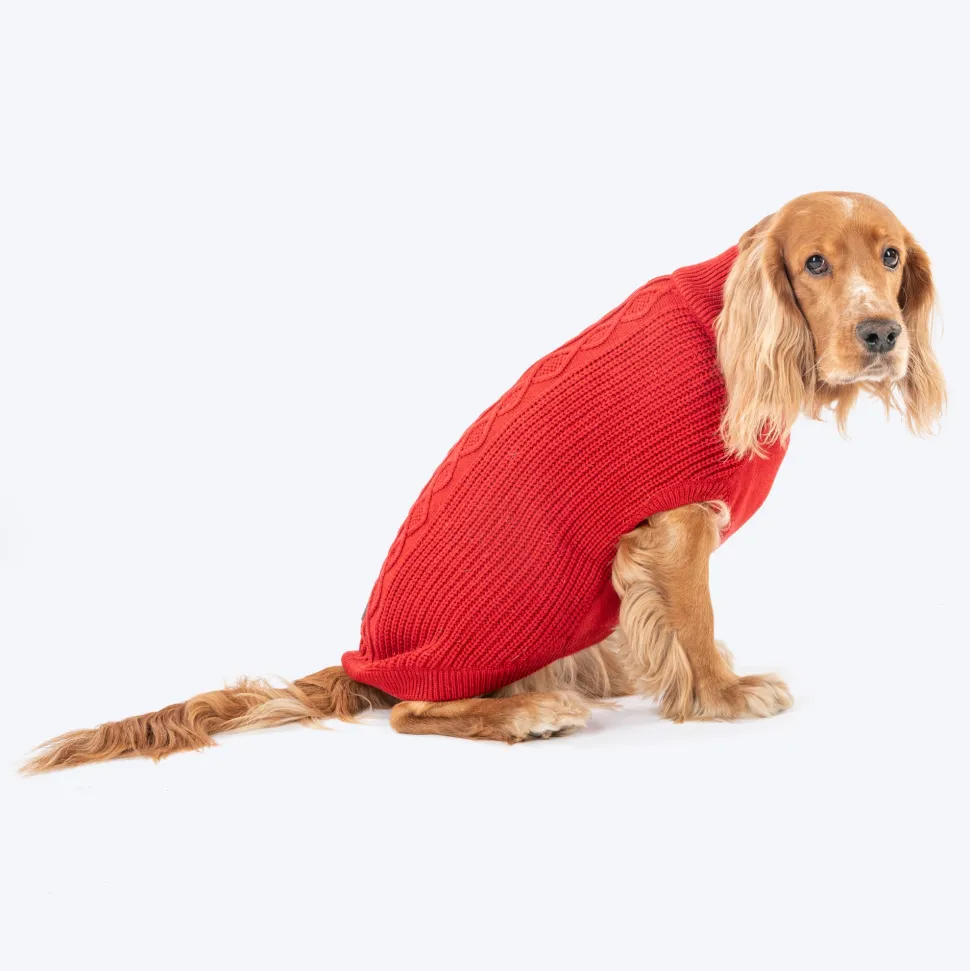 HUFT Berry Merry Sweater For Dog - Red
