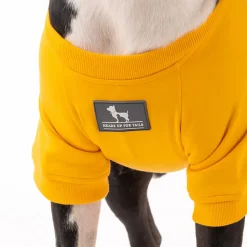 HUFT Best Dog Ever Pet Sweatshirt - Yellow