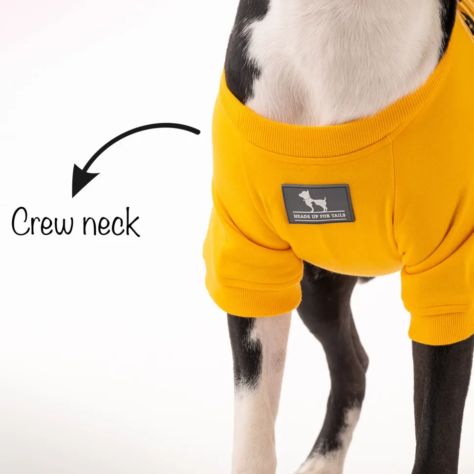 HUFT Best Dog Ever Pet Sweatshirt - Yellow