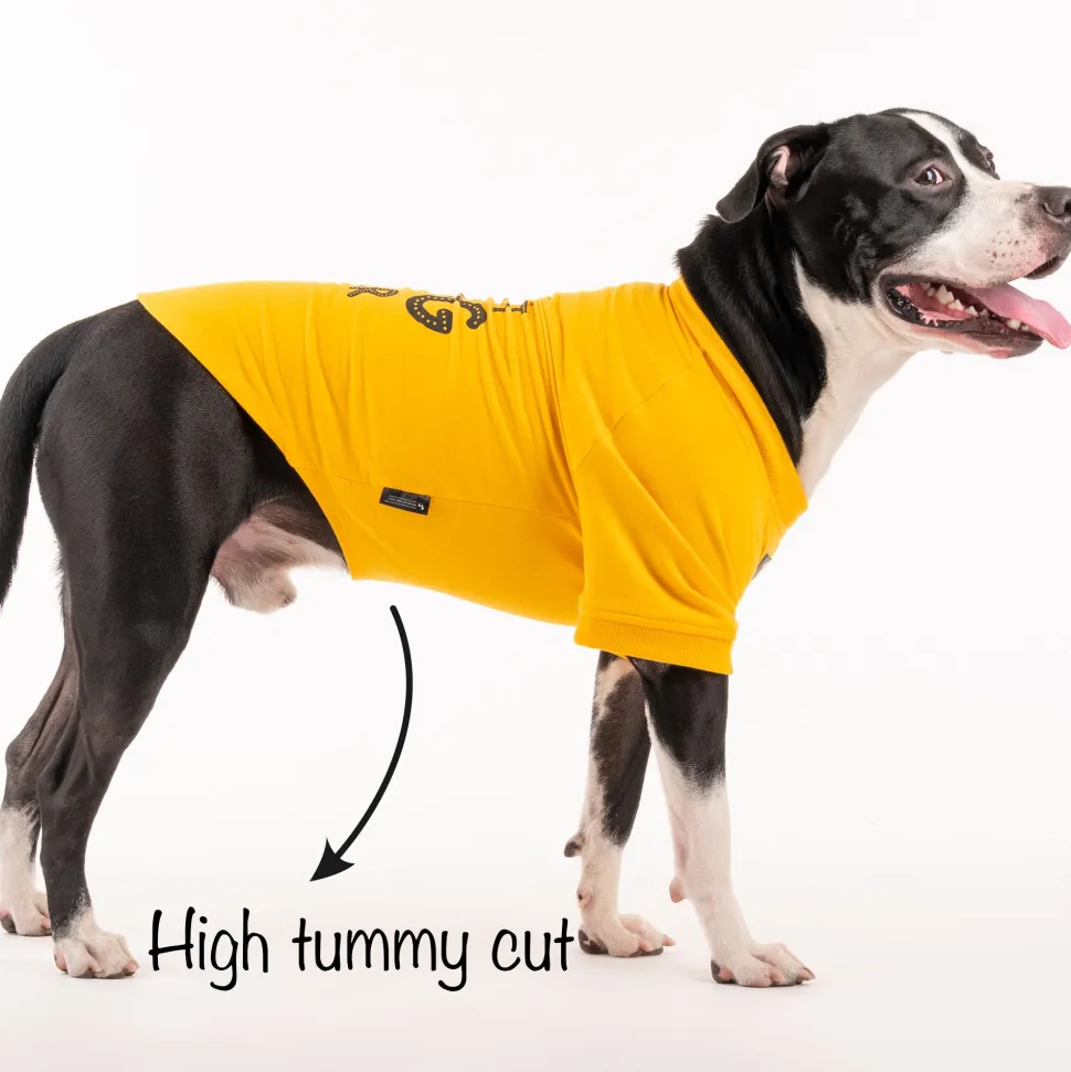HUFT Best Dog Ever Pet Sweatshirt - Yellow