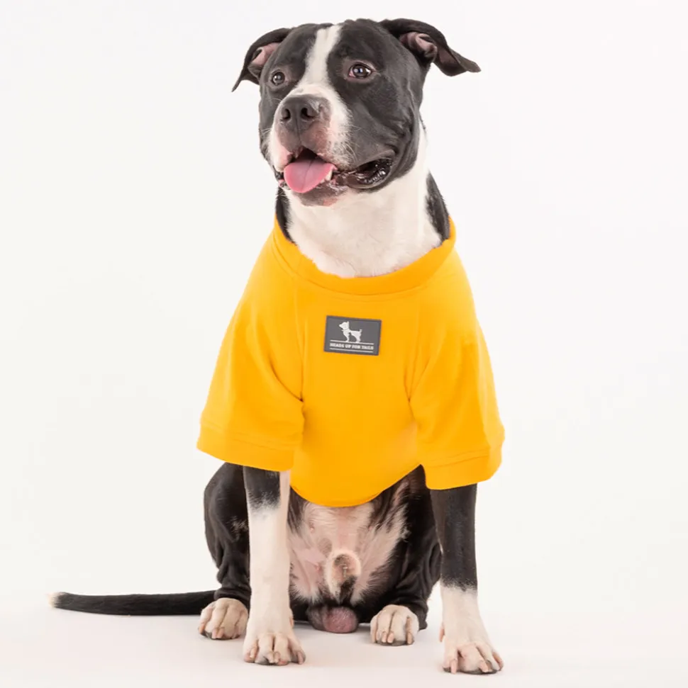 HUFT Best Dog Ever Pet Sweatshirt - Yellow