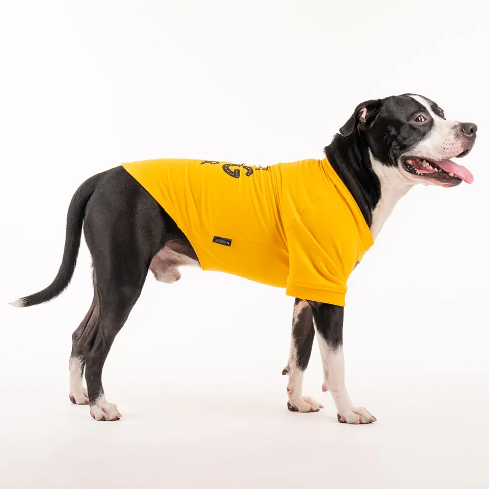HUFT Best Dog Ever Pet Sweatshirt - Yellow