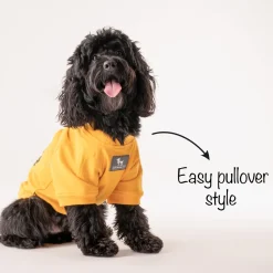 HUFT Best Dog Ever Pet Sweatshirt - Yellow