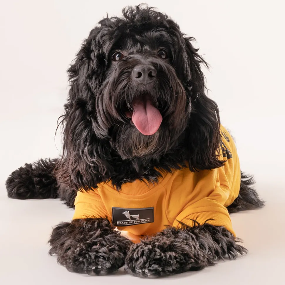 HUFT Best Dog Ever Pet Sweatshirt - Yellow