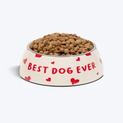 HUFT Best Dog Ever Printed Melamine Bowl With Steel Inserts For Dog - Beige