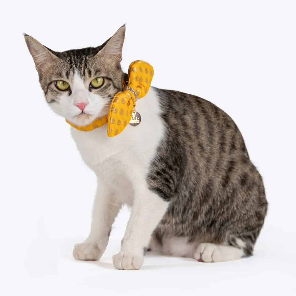 HUFT Brocade Dazzle Bow Tie With Strap For Cat - Yellow