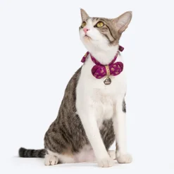 HUFT Brocade Dazzle Bow Tie With Strap For Cat - Purple