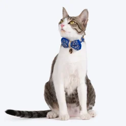 HUFT Brocade Dazzle Bow Tie With Strap For Cat - Blue